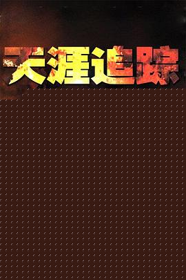 天涯追踪